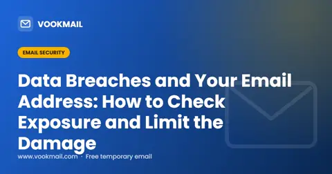 Got an Email Data Breach Notice? What to Do in the First Hour and After