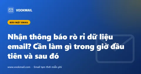 Nhận thông báo rò rỉ dữ liệu email? Cần làm gì trong giờ đầu tiên và sau đó